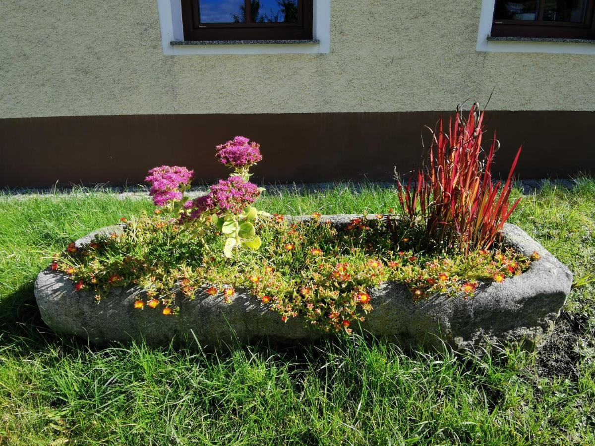 Ferdlhof Ferienwohnung Ulrichsberg Esterno foto