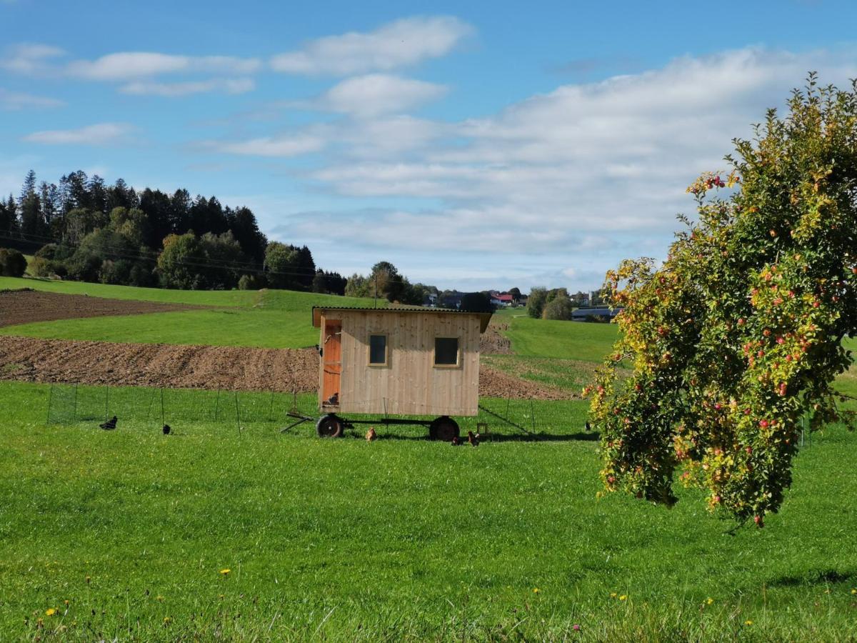 Ferdlhof Ferienwohnung Ulrichsberg Esterno foto